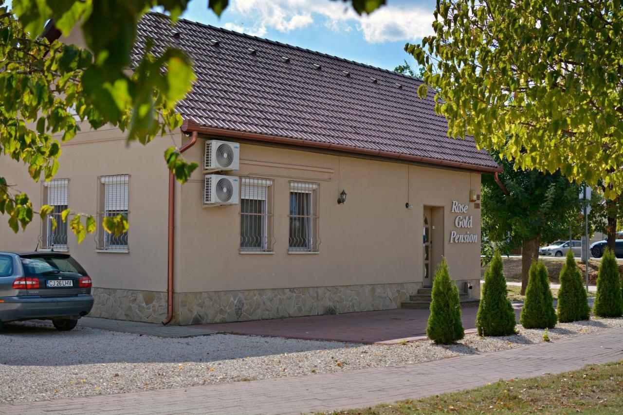 R.Gold Apartman Makó エクステリア 写真